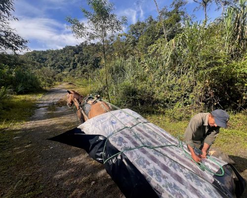 ECUADOR VOLUNTEER OPPORTUNITY - WORK WITH HORSES